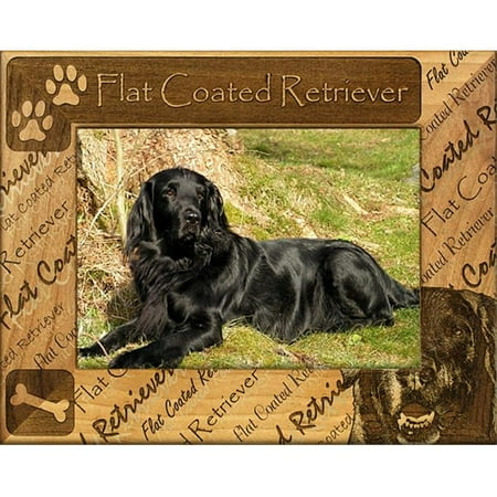 Giftworks Plus DBA0077 Flat Coated Retriever, Alder Wood Frame, 4 x 6 In