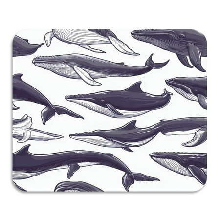 Illustrated Whales Pattern Diatomaceous Earth Water Absorbent Mat Anti-Slip Rubber Backing 15.7 x 11.8
Illustrated Whales Pattern Diatomaceous Earth Water Absorbent Mat Anti-Slip Rubber Backing 15.7 x 11.8