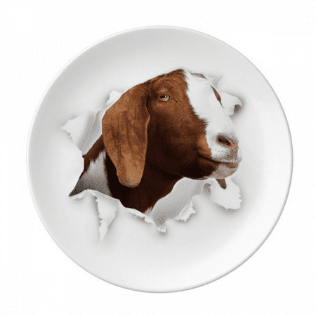Animal Paper Breaking Shock Expressions Plate Decorative Porcelain Salver Tableware Dinner Dish
Animal Paper Breaking Shock Expressions Plate Decorative Porcelain Salver Tableware Dinner Dish