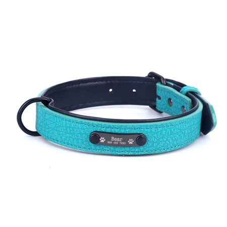 Cross-border hot new pet collar microfiber PU leather lettering collar custom dog collar anti-lost brand collar green