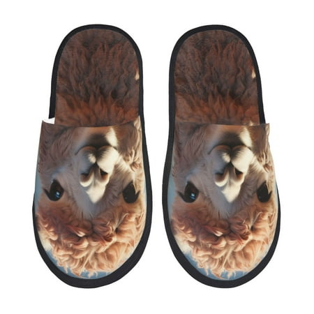 Adobk Fluffy Alpaca Mountain Meadow Print Slippers Indoor Outdoor Retro Slippers House Soft Fluffy Slides Cushion Furry Slippers-Medium
Adobk Fluffy Alpaca Mountain Meadow Print Slippers Indoor Outdoor Retro Slippers House Soft Fluffy Slides Cushion Furry Slippers-Medium
