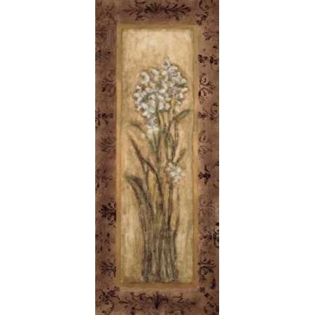 Posterazzi Paperwhites II Canvas Art - Mindeli (24 x 48)
