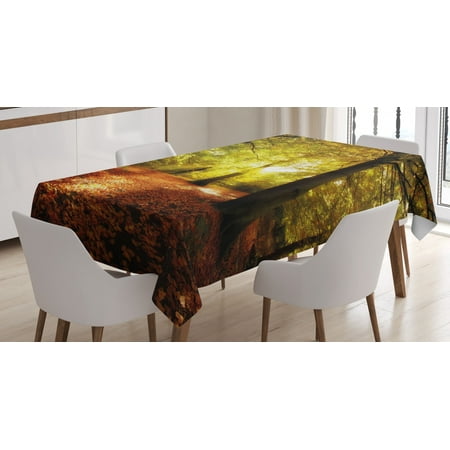 Fall Decor Tablecloth Blurry Hazy View of Forest Defoliation Mysterious Dramatic Dreamlike Rectangular Table Cover for Dining Room Kitchen 52 X 70 Inches Light Green Red Brown by Ambesonne
Fall Decor Tablecloth Blurry Hazy View of Forest Defoliation Mysterious Dramatic Dreamlike Rectangular Table Cover for Dining Room Kitchen 52 X 70 Inches Light Green Red Brown by Ambesonne