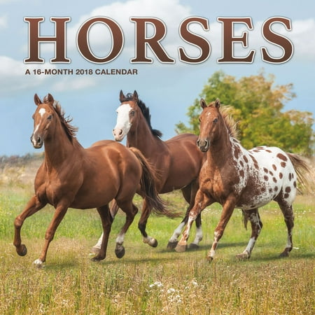 Horses 2018 Wall Calendar