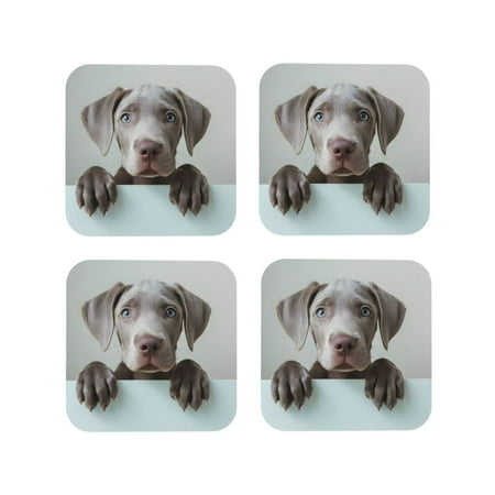 Honeii Adorable Puppy Portrait Print Leather Coaster Set of 4 Ideal for Safeguarding Your Furniture from Drinks Spills and Effortless Cleanup-Square
Honeii Adorable Puppy Portrait Print Leather Coaster Set of 4 Ideal for Safeguarding Your Furniture from Drinks Spills and Effortless Cleanup-Square