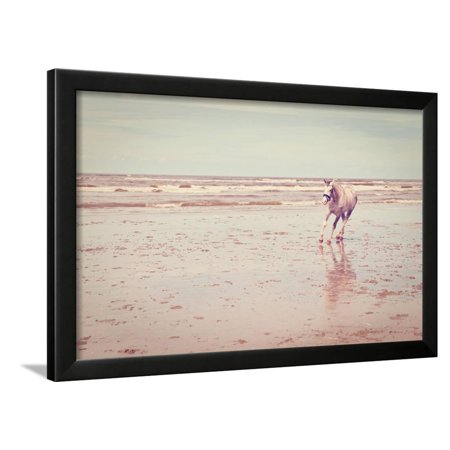 Horse Framed Print Wall Art By gkuna