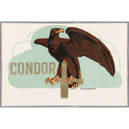 Condor-ARTCIG63727 Print 17.5"x26.5" by Art of the Cigar in a White Metal Frame