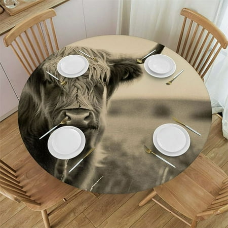 Patifu Long Horn Steer Round Table Cover Stain Resistant Washable Indoor Outdoor Tablecloth Kitchen Dining Wedding Parties Picnic Farmhouse 100% Polyester Fiber 54-58
Patifu Long Horn Steer Round Table Cover Stain Resistant Washable Indoor Outdoor Tablecloth Kitchen Dining Wedding Parties Picnic Farmhouse 100% Polyester Fiber 54-58