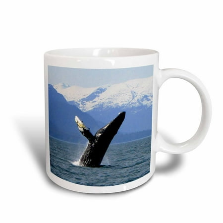 3dRose Humpback Whale Tosses and Turns in the Lynn Canal Southeastern Alaska, Ceramic Mug, 11-ounce