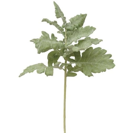 Mr. MJs Trading AI-FL2517FRO Frosted Dusty Miller Stem Faux Plants & Trees