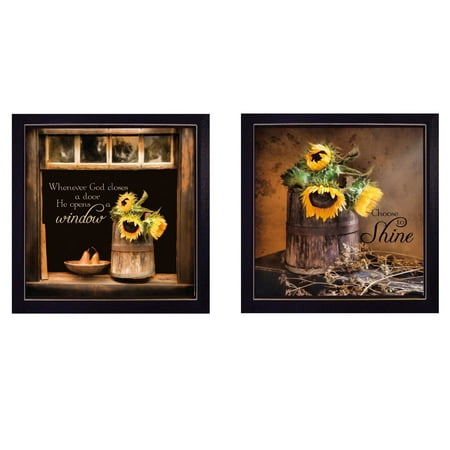 Sunny Windows 2-Piece Vignette by Robin-Lee Vieira Black Frame