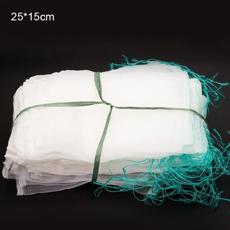 Fruit Nylon Rope Net Portable Nylon Net East to Install for Protecting from Pest Insects Monkey
Fruit Nylon Rope Net Portable Nylon Net East to Install for Protecting from Pest Insects Monkey