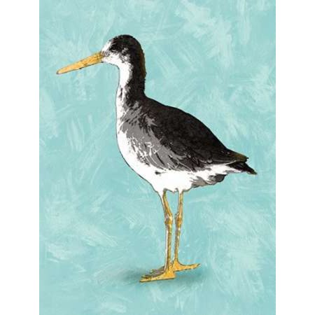 Seashore Bird III Poster Print by PI Galerie (22 x 28)