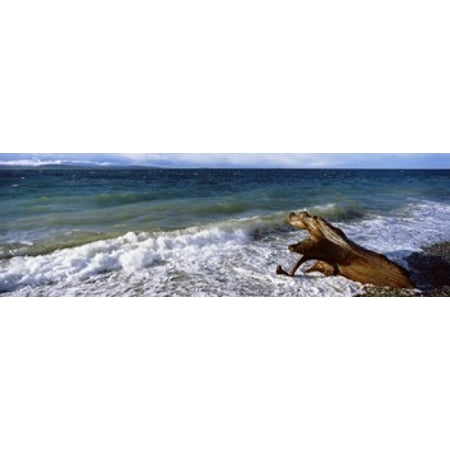 Waves and driftwood on the beach Whidbey Island Island County Washington State USA Canvas Art - Panoramic Images (36 x 12)