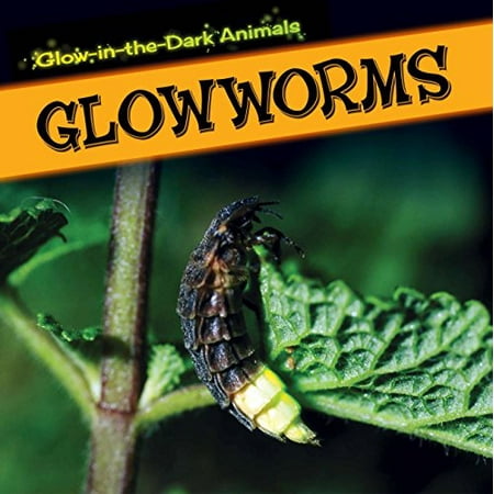 

Glowworms Glow-in-the-Dark Animals Pre-Owned Library Binding 1499401264 9781499401264 Kristen Rajczak