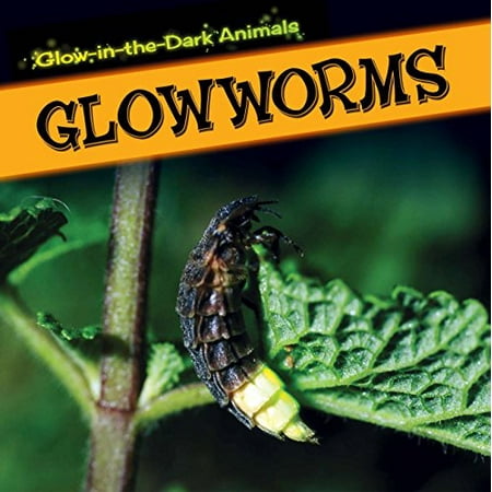 Glowworms Glow-in-the-Dark Animals Pre-Owned Library Binding 1499401264 9781499401264 Kristen Rajczak
Glowworms Glow-in-the-Dark Animals Pre-Owned Library Binding 1499401264 9781499401264 Kristen Rajczak