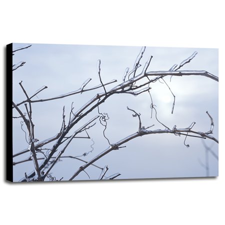 Buffalo River 57-GORSEM69840 Print 12"x16.5" by Gordon Semmens in a Canvas Stretched on 3/4" Bars