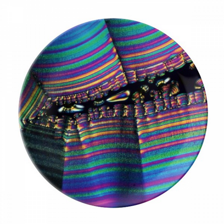 Science Bioplast Microcosc Pattern Plate Decorative Porcelain Salver Tableware Dinner Dish
Science Bioplast Microcosc Pattern Plate Decorative Porcelain Salver Tableware Dinner Dish