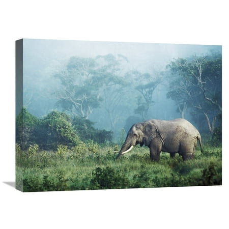 Global Gallery Frank Krahmer,'African elephant, Ngorongoro Crater, Tanzania' Stretched Canvas Artwork