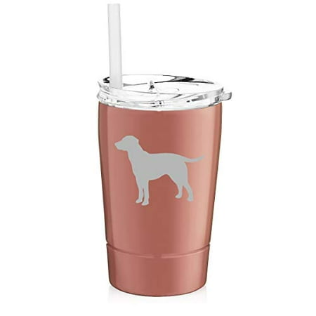 12 oz Tumbler Double Wall Stainless Steel Vacuum Insulated Coffee Travel Mug With Straw Lab Labrador Retriever (Rose Gold)
12 oz Tumbler Double Wall Stainless Steel Vacuum Insulated Coffee Travel Mug With Straw Lab Labrador Retriever (Rose Gold)