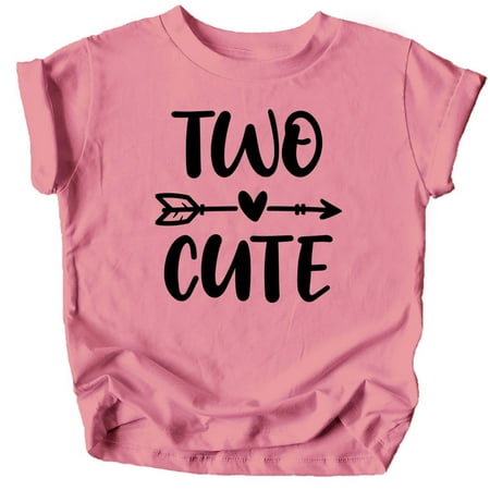 Two Cute Arrow 2nd Birthday Shirt for Toddler Girls Second Birthday Outfit Black on Mauve Shirt 2T
Two Cute Arrow 2nd Birthday Shirt for Toddler Girls Second Birthday Outfit Black on Mauve Shirt 2T