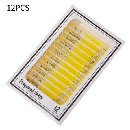 12PCS Microscope Prepared Slides Insects Plant Animal Specimen Plastic for Kids
12PCS Microscope Prepared Slides Insects Plant Animal Specimen Plastic for Kids