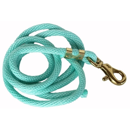 10 Horse Poly Nylon Heavy Duty Lead Rope Chrome Brass Hardware 60537