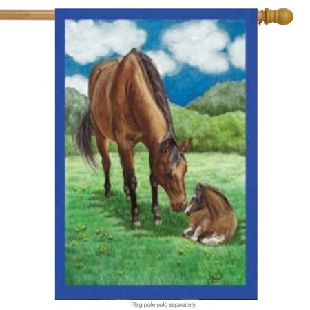Horses Field House Flag Farm Scene Made in the USA by Custom Decor 28" x 40"