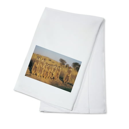Meerkats Lined Up (100% Cotton Tea Towel Decorative Hand Towel Kitchen and Home)