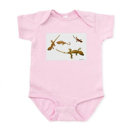 CafePress - Four Crested Geckos Infant Bodysuit - Baby Light Bodysuit Size Newborn - 24 Months
CafePress - Four Crested Geckos Infant Bodysuit - Baby Light Bodysuit Size Newborn - 24 Months