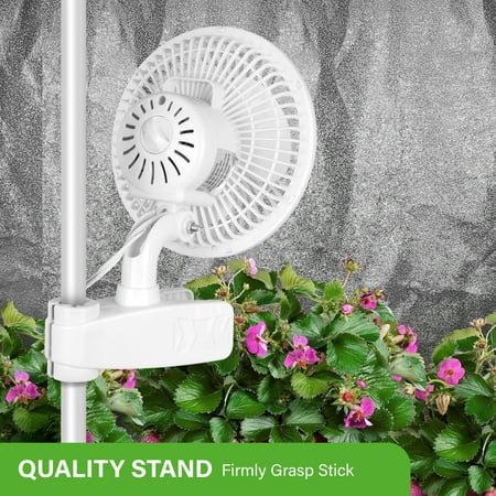 LANTRO JS HealSmart 6-Inch Grow Tent Poles Clip Fan Monkey Fan Manually Adjustable 90° Angles 15W 2-Speeds Control 63 inch Cord Length White
LANTRO JS HealSmart 6-Inch Grow Tent Poles Clip Fan Monkey Fan Manually Adjustable 90° Angles 15W 2-Speeds Control 63 inch Cord Length White