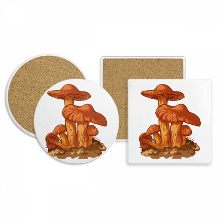Cute Orange Mushroom Creature Illustration Coaster Cup Mug Holder Absorbent Stone Cork Base Set
Cute Orange Mushroom Creature Illustration Coaster Cup Mug Holder Absorbent Stone Cork Base Set