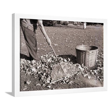 Man Raking Leaves Framed Print Wall Art By Philip Gendreau