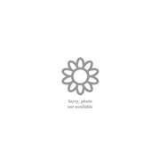 Little Bits of Sunshine Bulb Collection - Discontinued