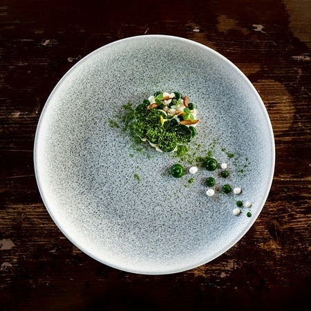 Ocean Dinner Plate 10.5