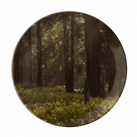 Dark Forestry Science Nature Scenery Plate Decorative Porcelain Salver Tableware Dinner Dish
Dark Forestry Science Nature Scenery Plate Decorative Porcelain Salver Tableware Dinner Dish