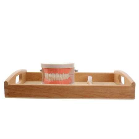 Hemoton 1 Set Children Brushing and Washing Kit Toy Wooden Early Educational Toy