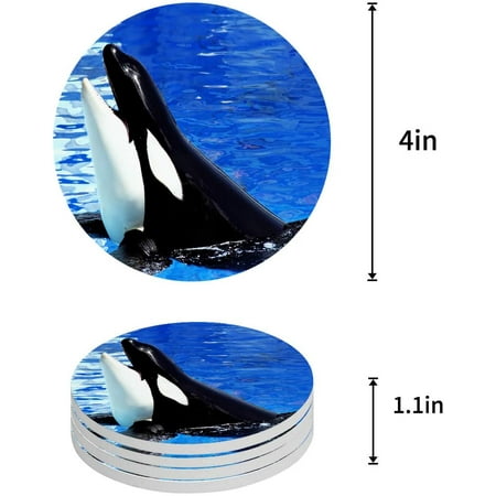 ZHANZZK Whale Set of 8 Round Coaster for Drinks Absorbent Ceramic Stone Coasters Cup Mat with Cork Base for Home Kitchen Room Coffee Table Bar Decor
ZHANZZK Whale Set of 8 Round Coaster for Drinks Absorbent Ceramic Stone Coasters Cup Mat with Cork Base for Home Kitchen Room Coffee Table Bar Decor