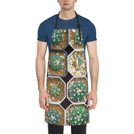 Vsdgher Cactus Garden Waterproof Apron with 2 Pockets Kitchen Chef Aprons Bibs for Grooming Cooking Baking Painting Gardening
Vsdgher Cactus Garden Waterproof Apron with 2 Pockets Kitchen Chef Aprons Bibs for Grooming Cooking Baking Painting Gardening