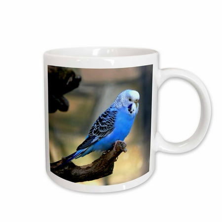 3dRose Clos Up View of Blue Budgie Bird Ceramic Mug 15-ounce