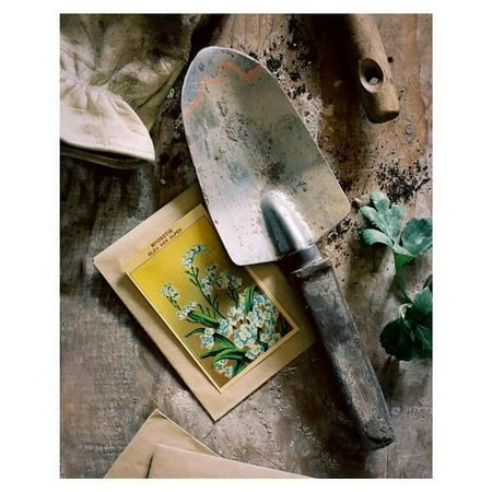 Earthy Charm II- Photo by Veronica Olson Printed on Tempered Glass Art