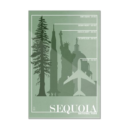Sequoia National Park - Redwood Relative Sizes (16x24 Acrylic Wall Art Gallery Quality)