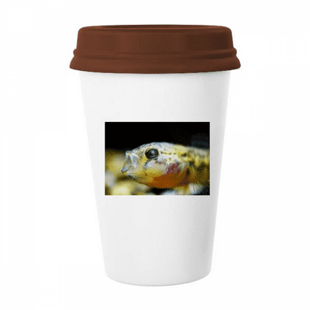 Marine Organism Small Tropical Fish Mug Coffee Drinking Glass Pottery Cerac Cup Lid
Marine Organism Small Tropical Fish Mug Coffee Drinking Glass Pottery Cerac Cup Lid