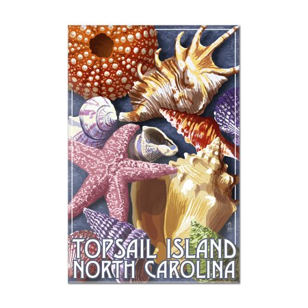 Topsail Island, North Carolina - Shells - Lantern Press Poster (8x12 Acrylic Wall Art Gallery Quality)