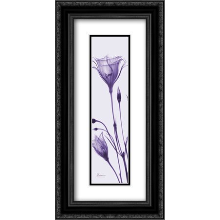 Gentian in Purple 2x Matted 12x24 Black Ornate Framed Art Print by Koetsier, Albert