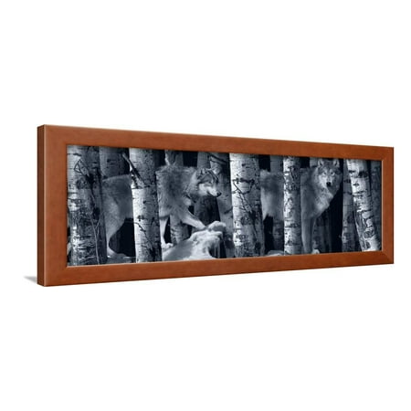 Silver Tone Moon Shadows 2 Framed Print Wall Art By Gordon Semmens