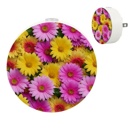YZUOUZY Night Lights Plug into Wall Night Lights Bedroom Lamps Set of 2 Beautiful Gerbera Flowers
YZUOUZY Night Lights Plug into Wall Night Lights Bedroom Lamps Set of 2 Beautiful Gerbera Flowers