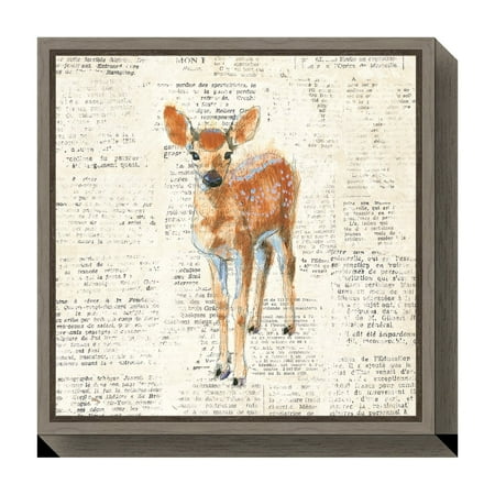 Amanti Art Into the Woods III no Border (Deer) Framed Canvas Wall Art