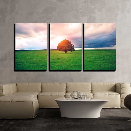 wall26 - 3 Piece Canvas Wall Art - Single Oak Tree in Field Under Magical Sunny Sky - Modern Home Decor Stretched and Framed Ready to Hang - 16"x24"x3 Panels