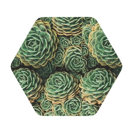 Bingfone Vintage Succulents Leather Drinks Coasters With Set Of 6 Suitable For Home Kitchen Coffee Cup Coasters Home Gift
Bingfone Vintage Succulents Leather Drinks Coasters With Set Of 6 Suitable For Home Kitchen Coffee Cup Coasters Home Gift